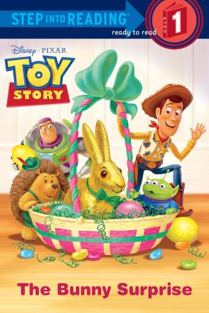 bigCover of the book The Bunny Surprise (Disney/Pixar Toy Story) by 