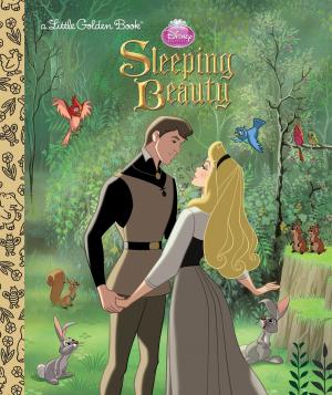 Cover of the book Sleeping Beauty (Disney Princess) by Liz Ruckdeschel, Sara James