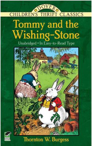 Cover of the book Tommy and the Wishing-Stone by Fyodor Dostoyevsky