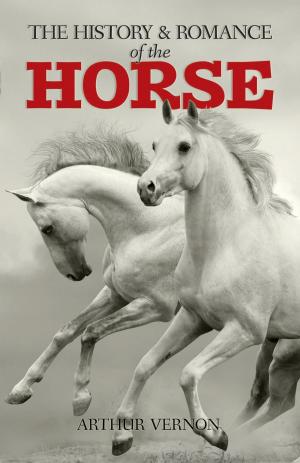 Cover of the book The History and Romance of the Horse by Edgar Allan Poe