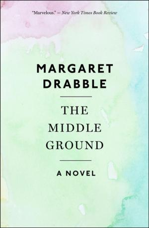 Book cover of The Middle Ground