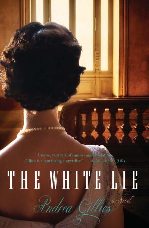 bigCover of the book The White Lie by 