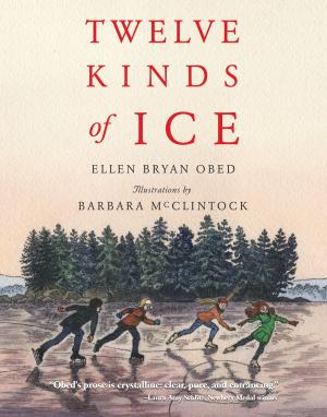 Cover of the book Twelve Kinds of Ice by Davide Cali, Yannick Robert