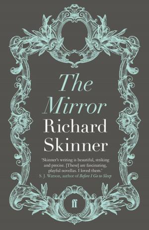 Cover of the book The Mirror by Tony Parker