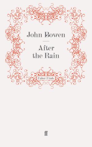 Cover of the book After the Rain by Dr John Tyrrell