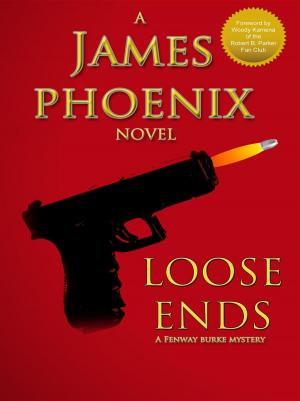 Cover of the book Loose Ends: A Fenway Burke Mystery by Linda Lambert