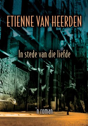 Cover of the book In stede van die liefde by Chantell Ilbury, Clem Sunter