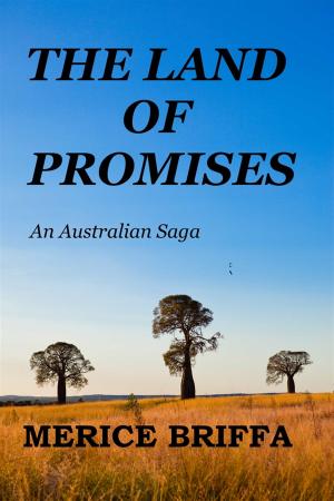 Book cover of The Land Of Promises