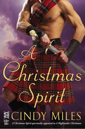 Cover of the book A Christmas Spirit by Laura Alden