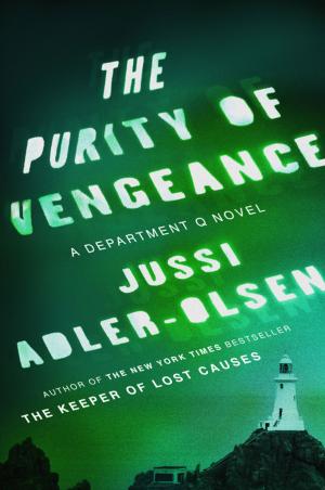 Cover of the book The Purity of Vengeance by Andrea N. Richesin