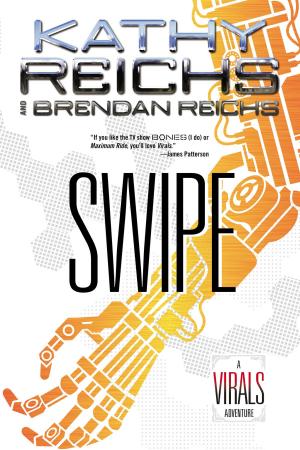 Cover of the book Swipe by Adam Gidwitz