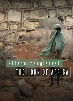 Cover of the book The Horn of Africa by Ian Blumer, Alan L. Rubin