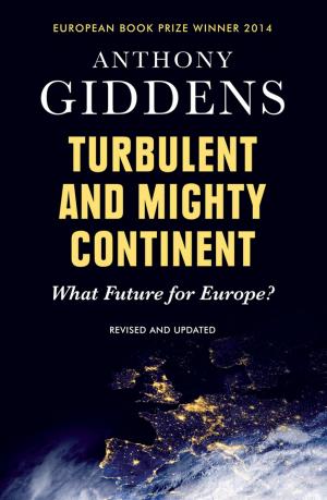 Cover of the book Turbulent and Mighty Continent by Geraldine Woods