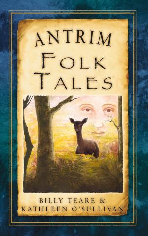 Book cover of Antrim Folk Tales