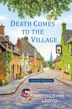 Cover of the book Death Comes to the Village by Joanne Fluke