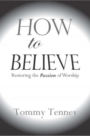 Cover of the book How to Believe by Rich Marshall, Ken Walker
