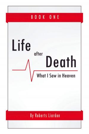 Cover of the book Life After Death by Kemi Onanuga