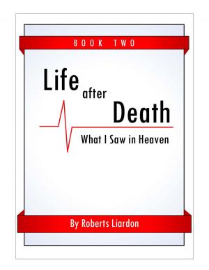 Cover of the book Life After Death by Elmer Towns