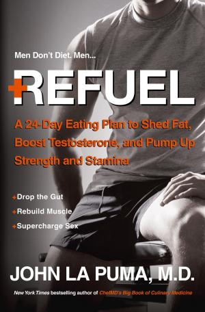 Cover of the book Refuel by David Winkler