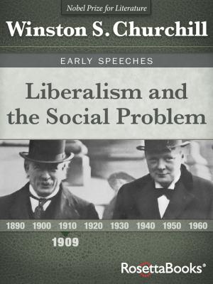Cover of the book Liberalism and the Social Problem by Michael J. Losier