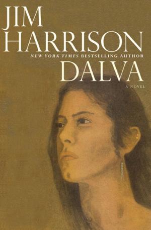 Book cover of Dalva