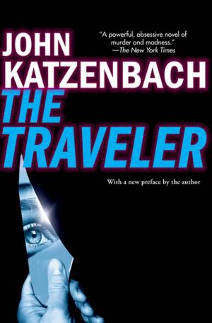 Cover of the book The Traveler by Robert Schenkkan