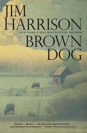 Book cover of Brown Dog