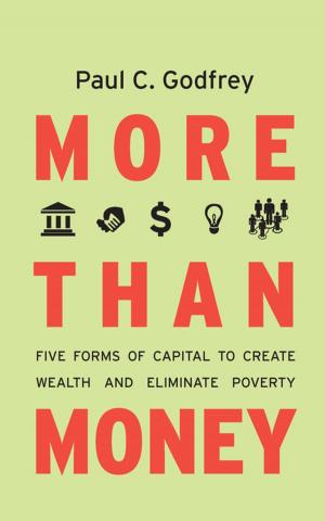 Cover of the book More than Money by Simone Polillo