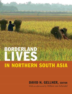 Cover of the book Borderland Lives in Northern South Asia by Heidi Tinsman