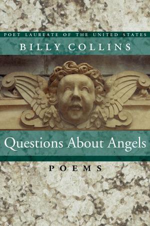 Cover of the book Questions About Angels by Daisy Fried
