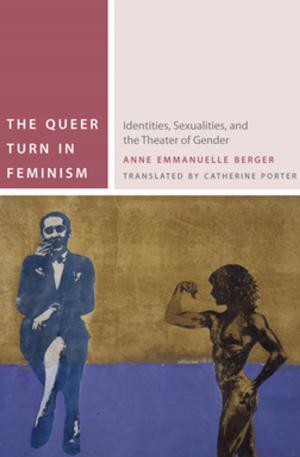 Book cover of The Queer Turn in Feminism