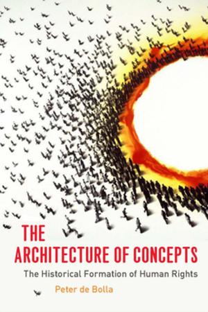 Cover of the book The Architecture of Concepts by Willi Goetschel
