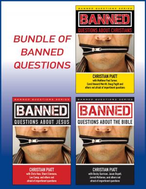 Cover of the book Bundle of Banned Questions by David Fleer
