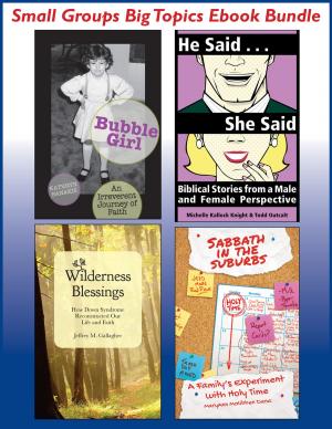 Cover of the book Small Groups Big Topics Ebook Bundle by Jill Suzanne Shook