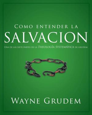 Book cover of Cómo entender la salvación