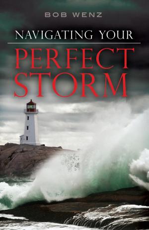 Cover of the book Navigating Your Perfect Storm by John Piper
