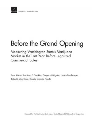 Cover of the book Before the Grand Opening by Tony Stone