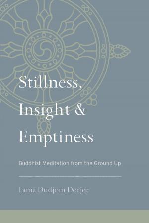 Book cover of Stillness, Insight, and Emptiness