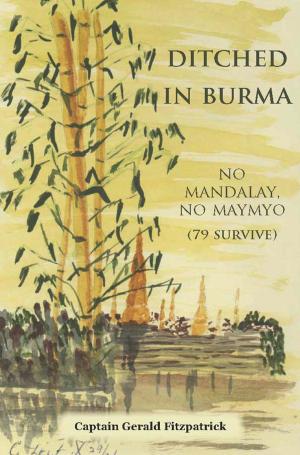 Cover of the book Ditched in Burma by Angela Raby