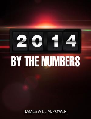 bigCover of the book 2014 By the Numbers (Future Predictions Now) by 