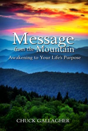 Cover of Message from the Mountain