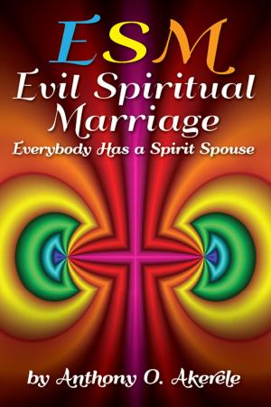 Cover of the book Evil Spiritual Marriage: Everybody has a Spirit Spouse by Chief Apostle Vennissica Kelly