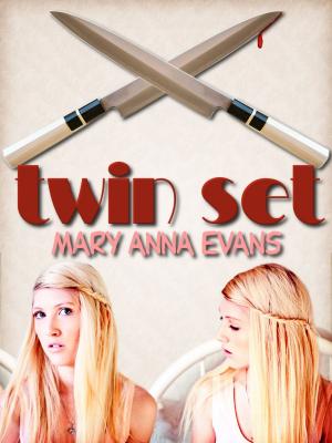 Book cover of Twin Set