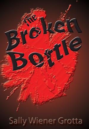 Cover of the book The Broken Bottle by Susan Elderkin