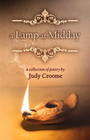 Book cover of a Lamp at Midday
