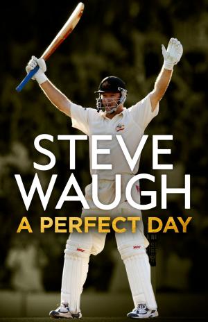 Cover of the book A Perfect Day by Richard Freeston-Clough