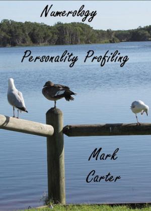 Book cover of Numerology Personality Profiling