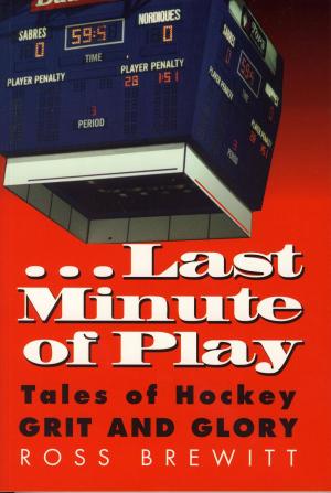 Book cover of Last Minute of Play