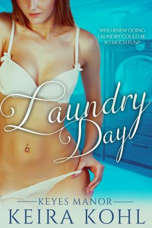 Cover of the book Laundry Day by Jackie Lawrence