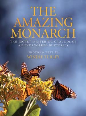 Cover of The Amazing Monarch